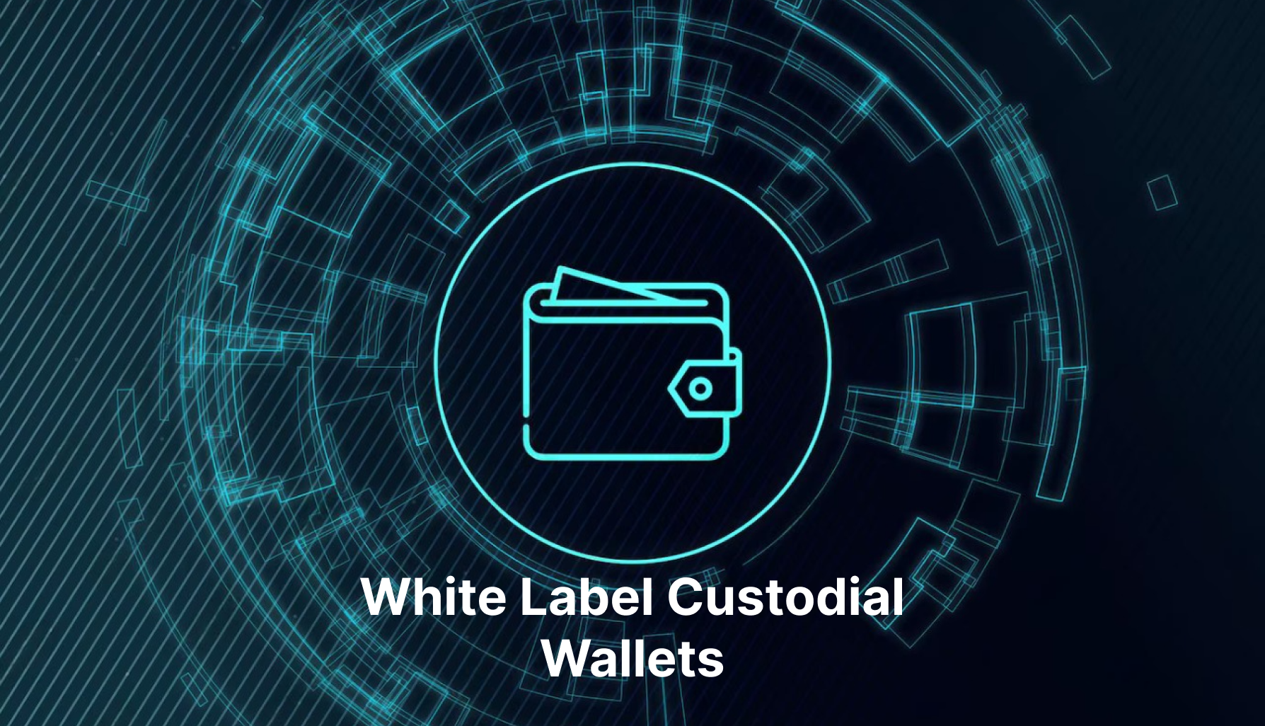 White Label Custodial Wallets: Unlocking Success for Businesses